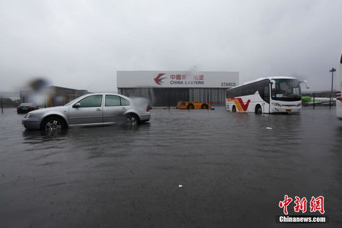 上海遭遇特大暴雨，市民頂風冒浪頑強前行